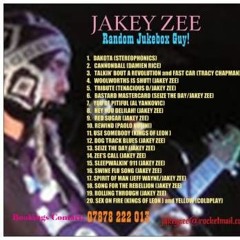 Talkin' Bout A Revolution / Fast Car