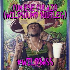 Con Ese Culazo (WILDSOUND Bootleg)