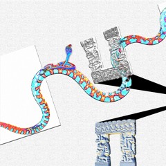 Kobra (instrumental)