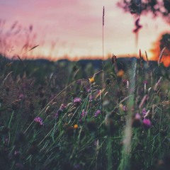 سورة  الرحمن  أعذب صوت - قرآن -Quran