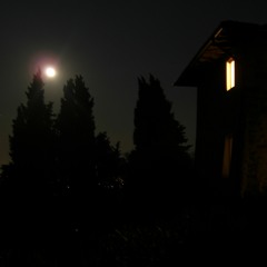 Trench Coat, for string trio (2:45)