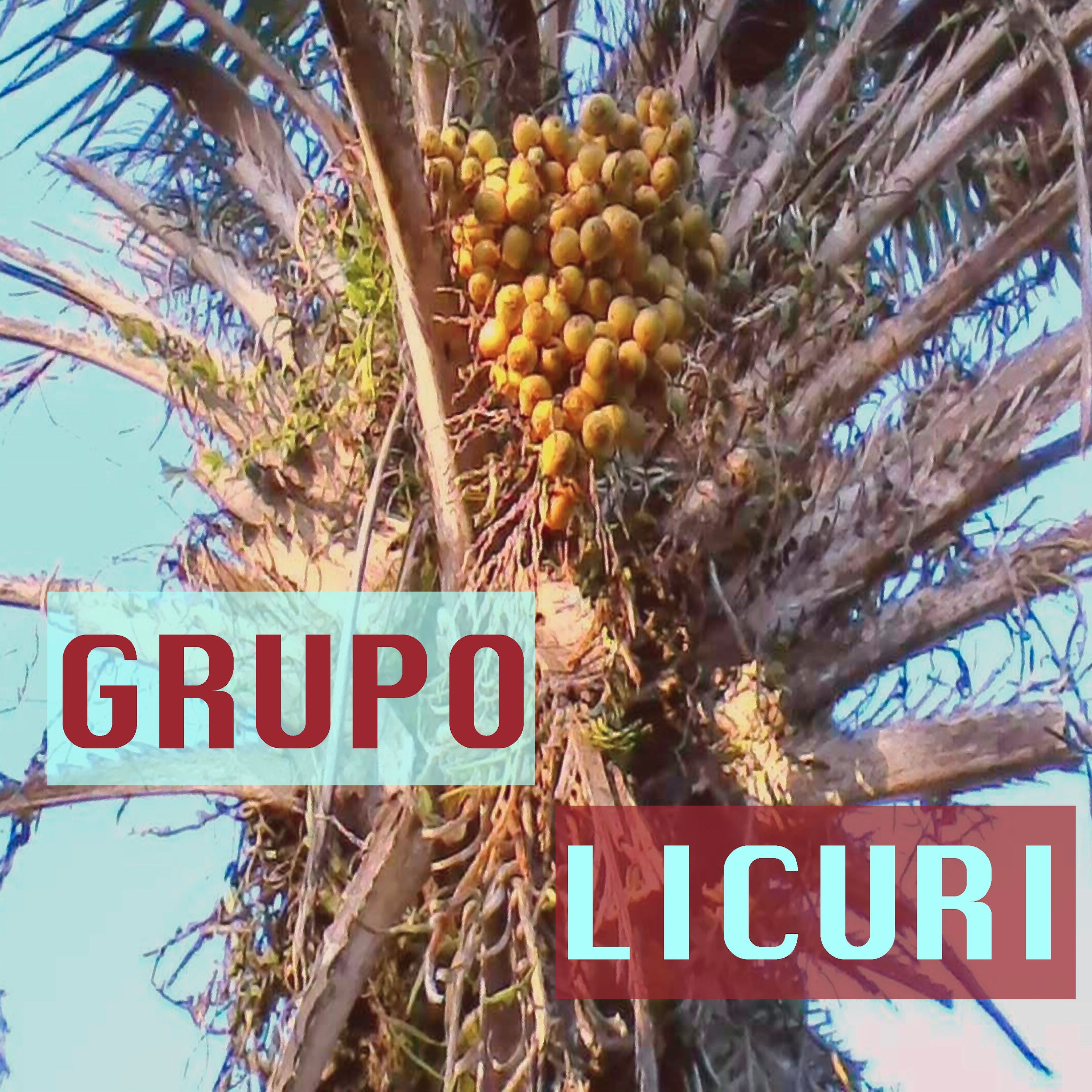 Grupo Licuri - Flor de Lótus - 01 Licuri episode artwork
