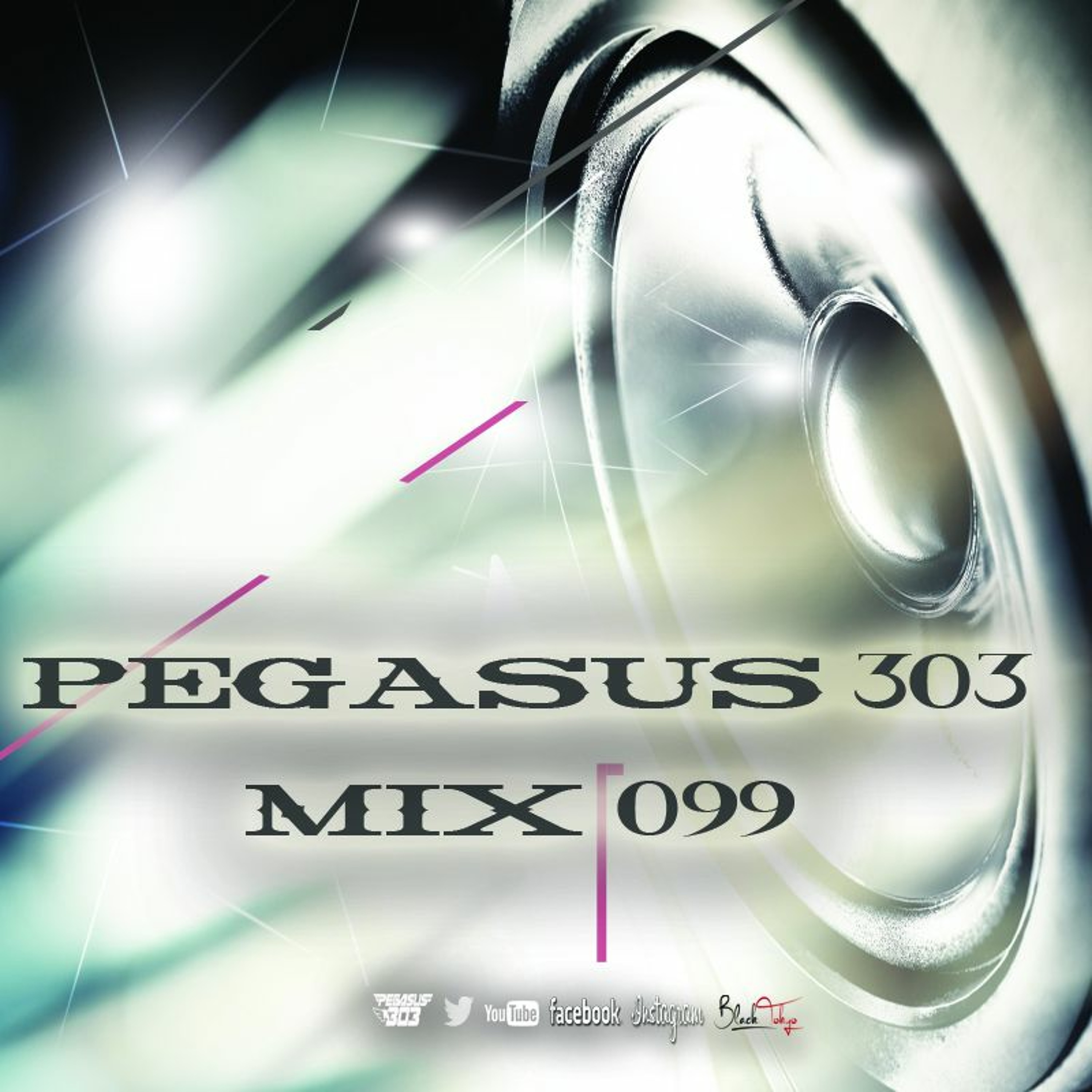 Pegasus 303 (mrclean)