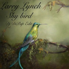 Larry Lynch - Shy Bird (DiPap Remix)
