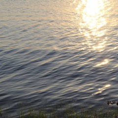 Alluvion, for clarinet, violin, and double bass (7:29)