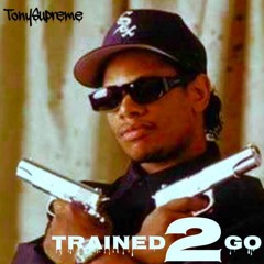 Trained 2 Go(with my niggas)