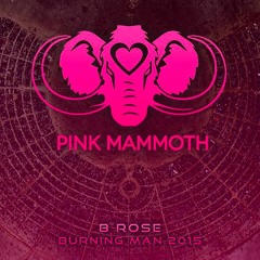 Pink Mammoth - Burning Man 2015