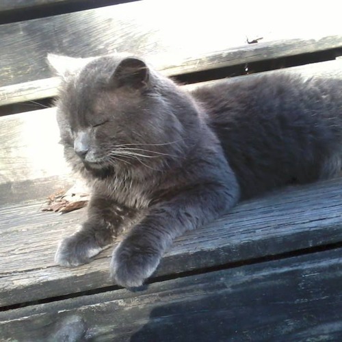 Pipe Bubbles From Cities Under Sludge