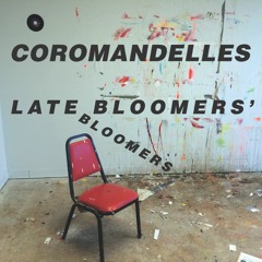 COROMANDELLES - New Ordain