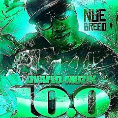 12 - Nue Breed - Ain't A Thang ft. Steven Malcom.mp3