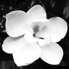 This That Shit They Didn't Want