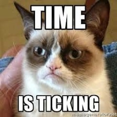 TIME IS TICKING  (PAPLOVIANTE & LLORENTE)