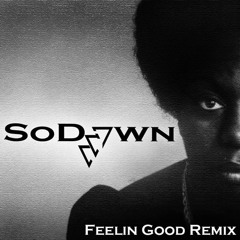 Nina Simone - Feelin' Good (SoDown Remix)