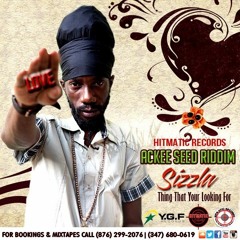 Sizzla - Thing That You Looking For - Hitmatic Records