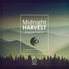TWCHNOLOGY- Contemplando El Crepusculo