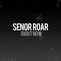 Senor Roar - Right Now (Original Mix) FREE DOWNLOAD