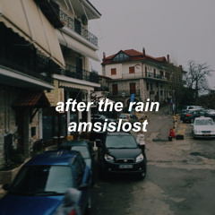 after the rain