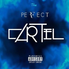 04 The Perfect Cartel- Patient