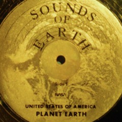 Noah: And Now Nothing Will Be Withheld From Them