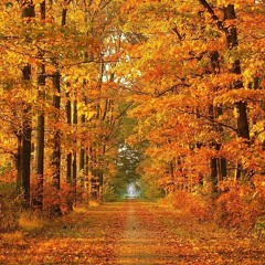 October