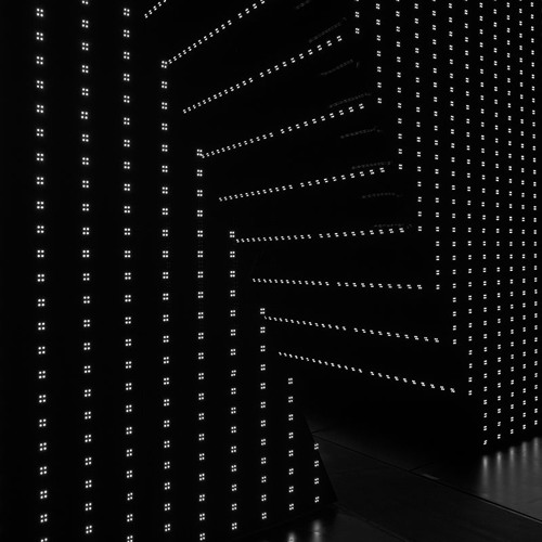 "THE MIRROR" BY DAMAGED BUG