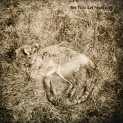The Third Eye Foundation - Get To Fuck (Semtex reissue bonus track)