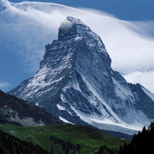 Loris - Summit