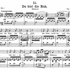 Schubert - Du bist die Ruh (Lasse Kuhlmann Choir version)