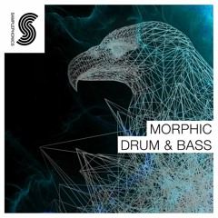 Morphic Drum & Bass Demo