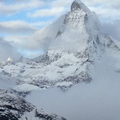 Bienenfresser Der_Dono