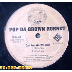 Pop Da Brown Hornet - Can You Wu - Wu - Wu