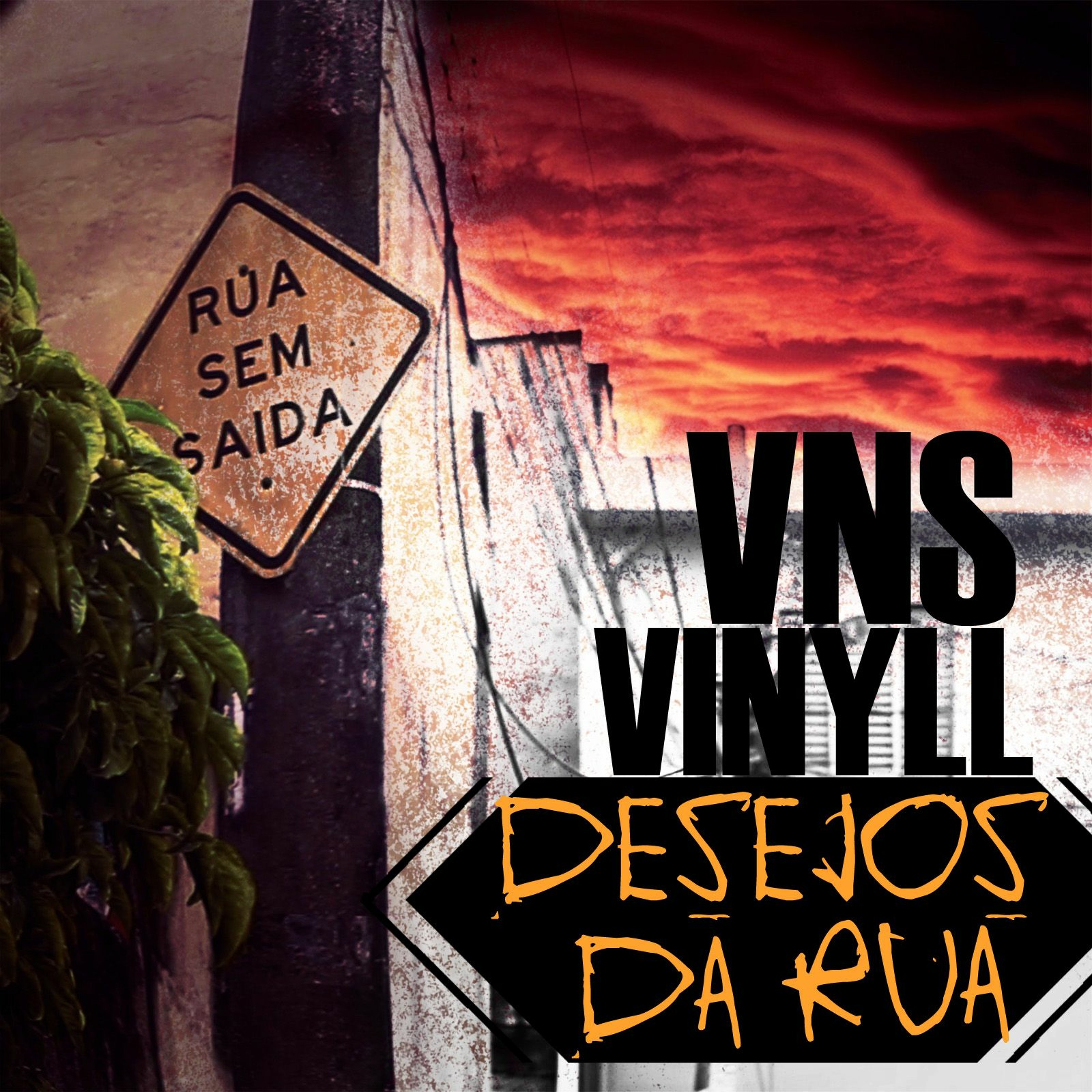 VNS Vinyll