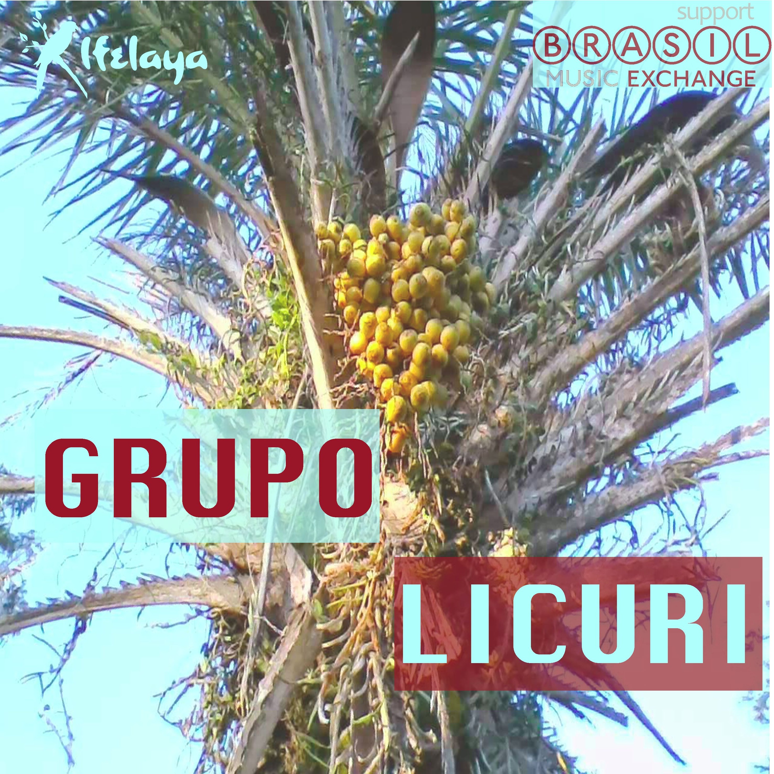 Grupo Licuri - Flor De Lótus - 02 Pagodelia episode artwork