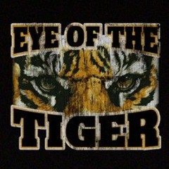 The Eye of the Tiger Remix