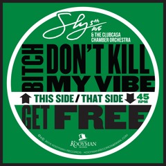 Sly5thAve- Bitch Don't Kill My Vibe (Kendrick Lamar) feat. The Clubcasa Chamber Orchestra