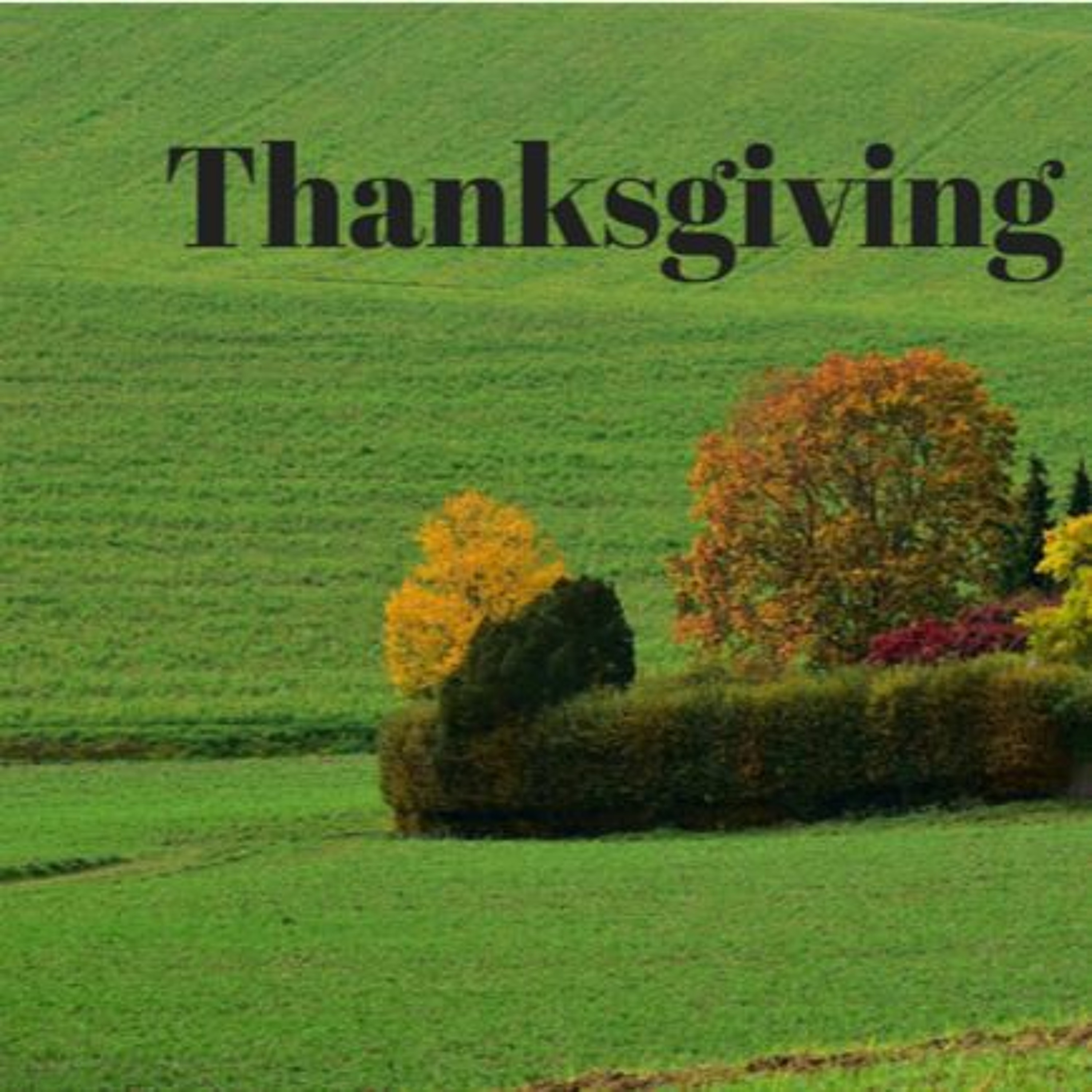 Thanksgiving 2015 Sermon episode artwork