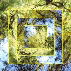 CQ - 5th Forest