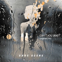 Shoe Scene Symphony - Can't You See (Original Mix)