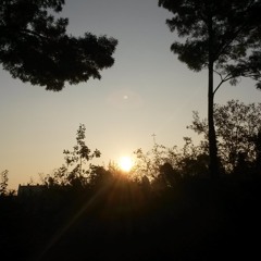Bliss Out
