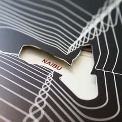 Naibu - 'Replaced' (Paradox Music 12" 031)