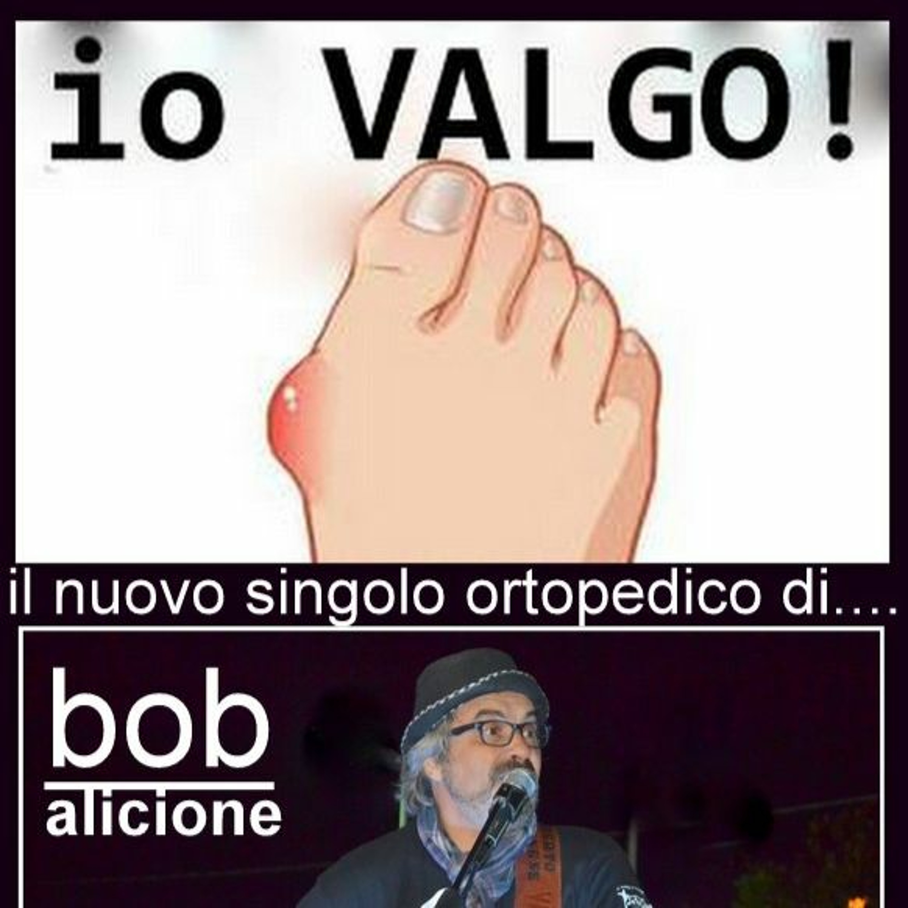 bob alicione