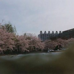 秋アナログテープ崩壊