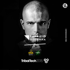 FABRÍCIO PEÇANHA - Tribaltech 2015