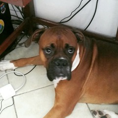 Bunker improv. Live feat. Jau