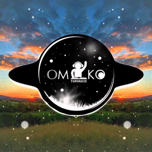 Stream Martin Garrix - Animals (BiBiChI Remix) by OmikoTukvadzeOT | Listen  online for free on SoundCloud