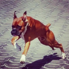 "The rough life blues" by: Bunker feat. Jau (unedited)