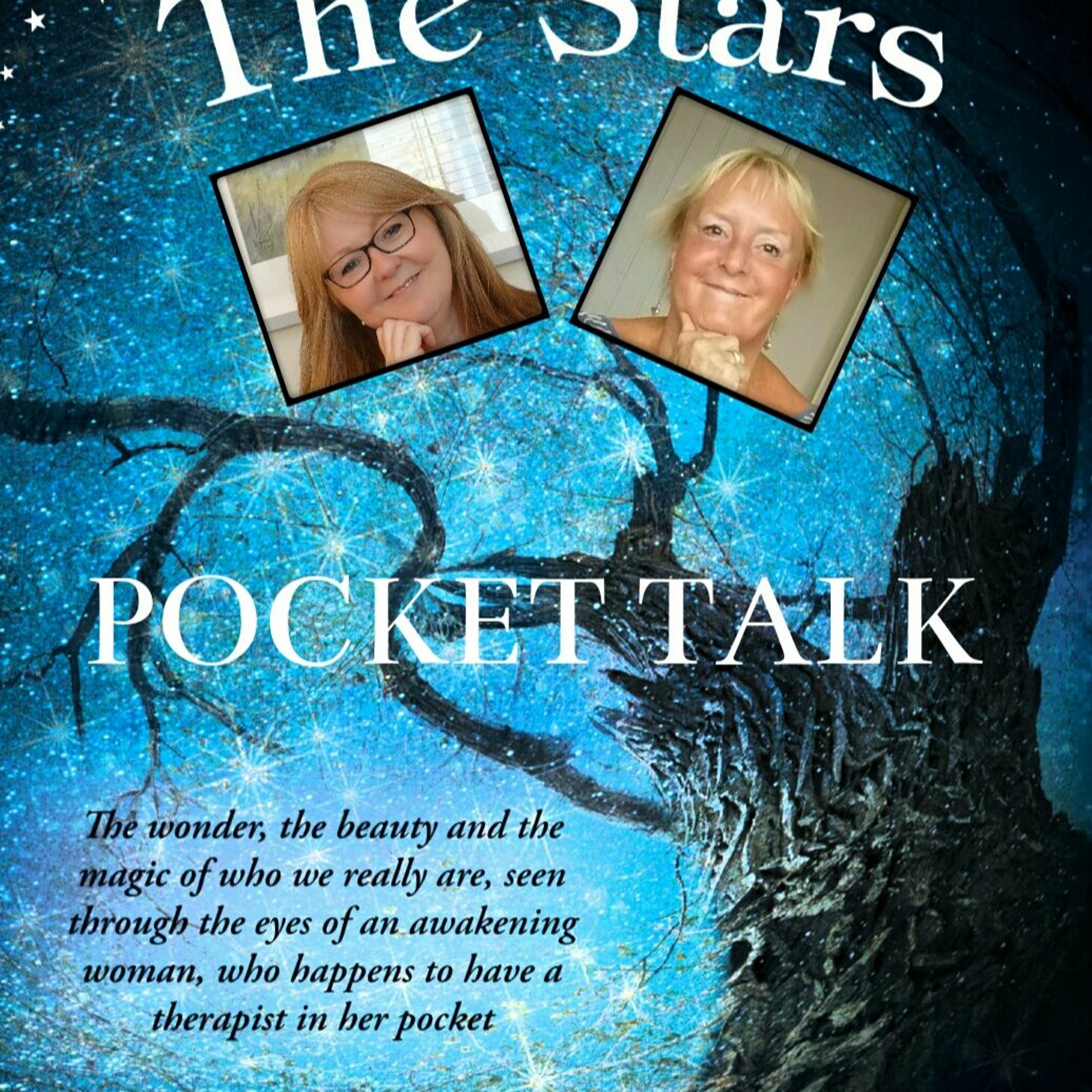 The Therapist in my Pocket, Pocket Talk