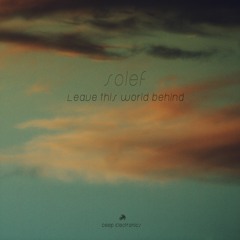 Solef - They Can't Understand