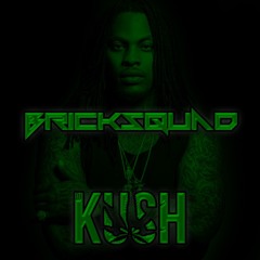 Bricksquad [Waka Flocka Type Beat](Prod. By DJ Kush)
