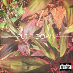 Put It Down (Ft. NB3)